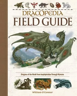 Terénny sprievodca Drakopédiou: Draky sveta od Amphipteridae po Wyvernae - Dracopedia Field Guide: Dragons of the World from Amphipteridae Through Wyvernae