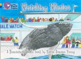 Pozorovanie veľrýb - Watching Whales