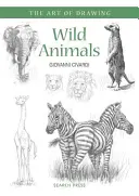 Divoké zvieratá - Wild Animals