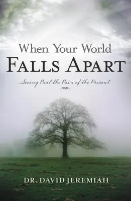 Keď sa ti rozpadne svet: Ako sa pozerať za bolesť prítomnosti - When Your World Falls Apart: See Past the Pain of the Present