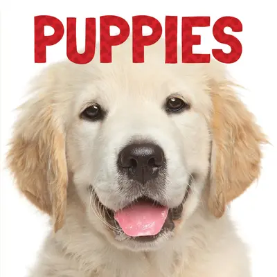 Šteňatá - Puppies