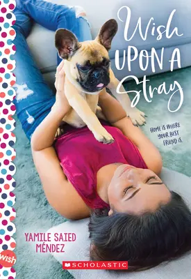 Wish Upon a Stray (Prianie na zablúdenie): A Wish Novel - Wish Upon a Stray: A Wish Novel