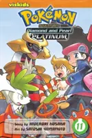 Pokmon Adventures: Diamond and Pearl/Platinum, Vol. 11, 11