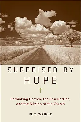 Prekvapení nádejou: Prehodnotenie neba, zmŕtvychvstania a poslania Cirkvi - Surprised by Hope: Rethinking Heaven, the Resurrection, and the Mission of the Church