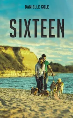Šestnásť - Sixteen