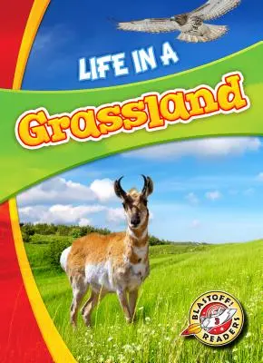 Život na lúke - Life in a Grassland