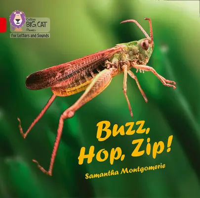 Buzz, Hop, Zip! Veľká kniha - Skupina 02a/Red a - Buzz, Hop, Zip! Big Book - Band 02a/Red a