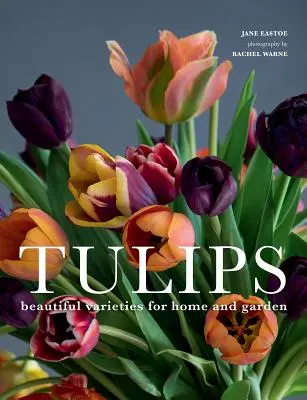 Tulipány: Krásne odrody pre dom a záhradu - Tulips: Beautiful Varieties for Home and Garden
