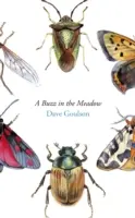Bzučanie na lúke - Buzz in the Meadow