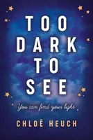 Príliš tmavé na to, aby sme videli - Too Dark to See