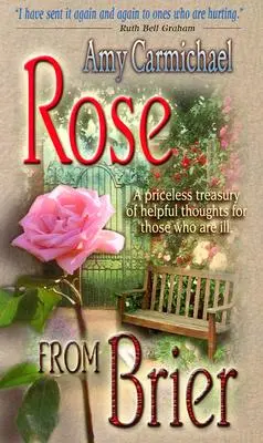 Ruža z briez - Rose from Brier