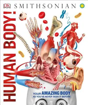 Ľudské telo! - Human Body!