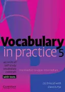 Slovná zásoba v praxi 5 - Vocabulary in Practice 5