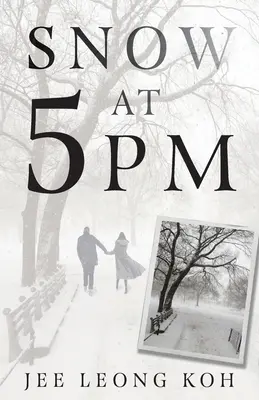 Sneh o 17:00: Preklady bezvýznamného japonského básnika - Snow at 5 PM: Translations of an Insignificant Japanese Poet