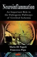 Neurozápal - dôležitá úloha v patogenetických cestách mozgovej ischémie - Neuroinflammation - An Important Role in the Pathogenic Pathways of Cerebral Ischemia