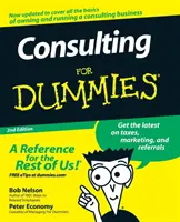 Poradenstvo pre hlupákov - Consulting for Dummies