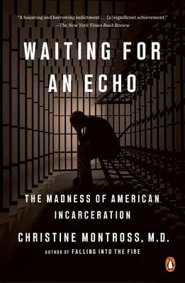 Čakanie na ozvenu: Šialenstvo amerického väzenia - Waiting for an Echo: The Madness of American Incarceration