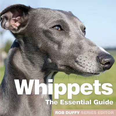 Whippets: Základný sprievodca - Whippets: The Essential Guide