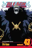 Bleach, zv. 43, 43 - Bleach, Vol. 43, 43