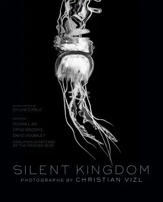 Tiché kráľovstvo: Svet pod vlnami - Silent Kingdom: A World Beneath the Waves