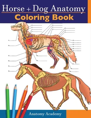 Anatómia koní + psov Omaľovánky: 2 v 1 Kompilácia Neuveriteľne podrobný autotest Anatómia koní a psov Farebný zošit Perfektný darček pre veterinárov - Horse + Dog Anatomy Coloring Book: 2-in-1 Compilation Incredibly Detailed Self-Test Equine & Canine Anatomy Color workbook Perfect Gift for Veterinary