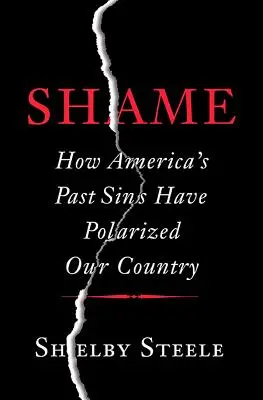 Hanba: Ako americké hriechy z minulosti polarizovali našu krajinu - Shame: How America's Past Sins Have Polarized Our Country