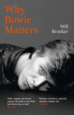 Prečo je Bowie dôležitý - Why Bowie Matters