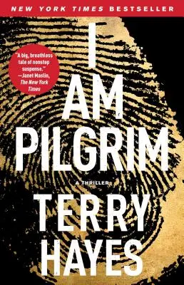 Som pútnik: Thriller - I Am Pilgrim: A Thriller