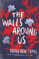 Múry okolo nás - The Walls Around Us