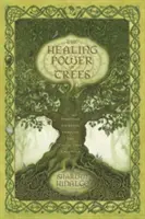 Liečivá sila stromov: Duchovné cesty prostredníctvom keltského stromového kalendára - The Healing Power of Trees: Spiritual Journeys Through the Celtic Tree Calendar
