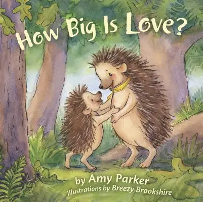 Ako veľká je láska? (Polstrovaná kniha) - How Big Is Love? (Padded Board Book)