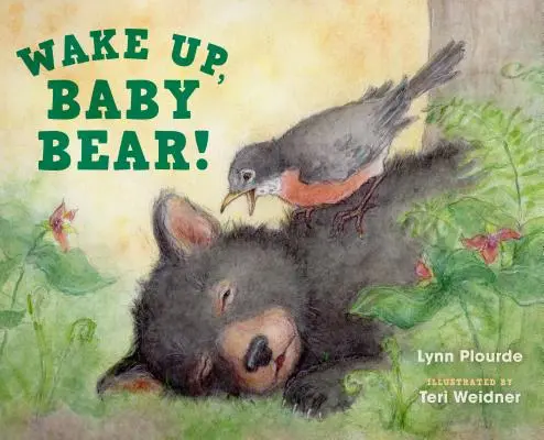 Zobuď sa, medvedík! - Wake Up, Baby Bear!