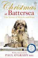 Vianoce v Battersea: Skutočné príbehy o zázrakoch a nádeji - Christmas at Battersea: True Stories of Miracles and Hope