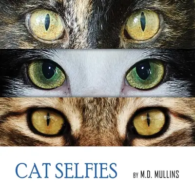 Mačacie selfie - Cat Selfies