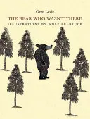Medveď, ktorý tam nebol: A rozprávkový les - The Bear Who Wasn't There: And the Fabulous Forest