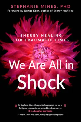 Všetci sme v šoku: Energetické liečenie v traumatických časoch - We Are All in Shock: Energy Healing for Traumatic Times
