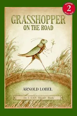 Kobylka na ceste - Grasshopper on the Road