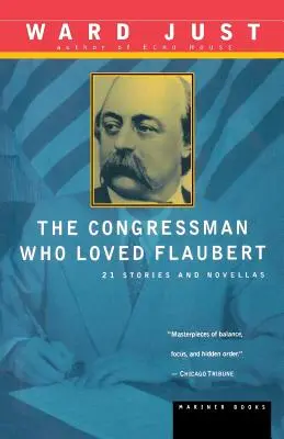 Kongresman, ktorý miloval Flauberta: 21 poviedok a noviel - The Congressman Who Loved Flaubert: 21 Stories and Novellas