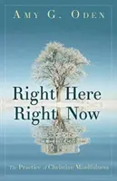 Práve tu a práve teraz: Prax kresťanskej všímavosti - Right Here Right Now: The Practice of Christian Mindfulness