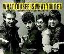Čo vidíš, to dostaneš: Stiff Little Fingers 1977-1983 - What You See Is What You Get: Stiff Little Fingers 1977-1983