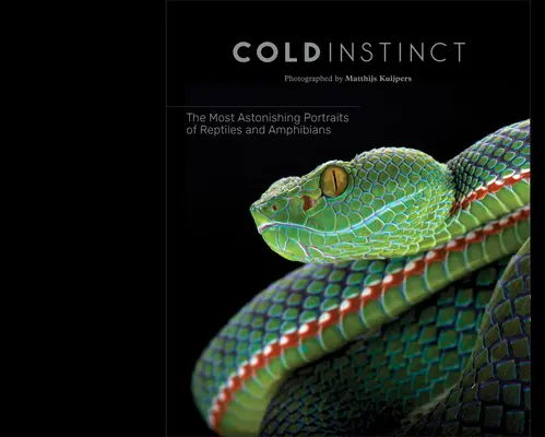 Matthijs Kuijpers: Chladný inštinkt - Matthijs Kuijpers: Cold Instinct