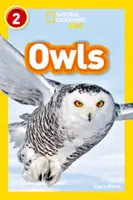 Sovy - úroveň 2 - Owls - Level 2
