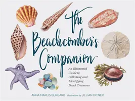 The Beachcomber's Companion (Spoločník plážového cestovateľa): Ilustrovaný sprievodca zbieraním a identifikáciou plážových pokladov (Kniha o zbieraní mušlí a lastúr, akvarel, Bea - The Beachcomber's Companion: An Illustrated Guide to Collecting and Identifying Beach Treasures (Watercolor Seashell and Shell Collecting Book, Bea