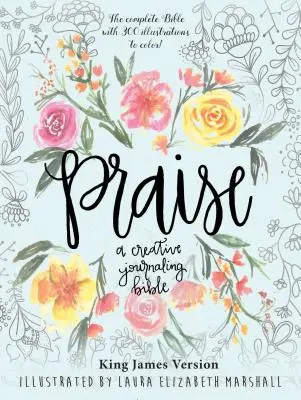 Chvála: A Creative Journaling Bible (Biblia pre tvorivé denníky) - Praise: A Creative Journaling Bible