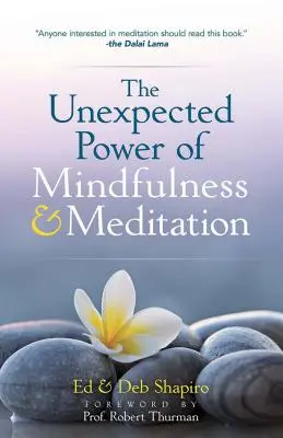 Neočakávaná sila všímavosti a meditácie - The Unexpected Power of Mindfulness and Meditation