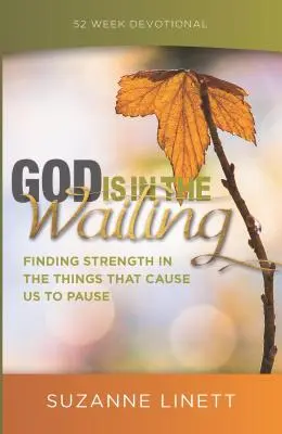 Boh je v očakávaní: Hľadanie sily vo veciach, ktoré nás nútia zastaviť sa - God Is in the Waiting: Finding Strength in the Things That Cause Us to Pause