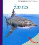 Žraloky - Sharks