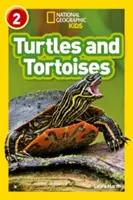 Korytnačky a korytnačky - úroveň 2 - Turtles and Tortoises - Level 2
