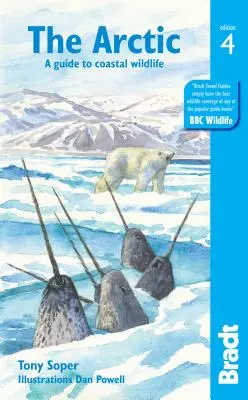 Arktída: Sprievodca pobrežnou divočinou - The Arctic: A Guide to Coastal Wildlife