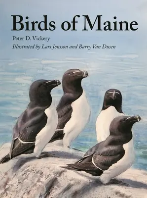 Vtáky štátu Maine - Birds of Maine